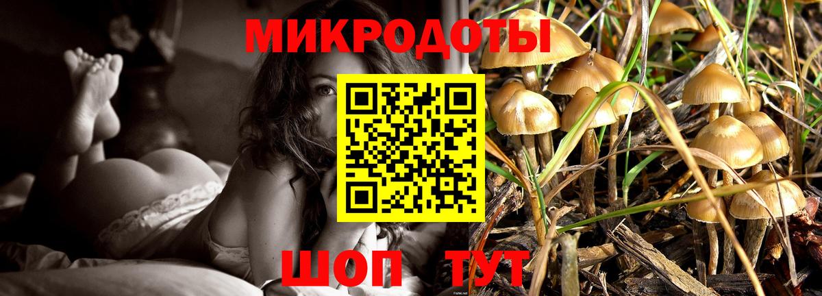 Галлюциногенные грибы Psilocybe  Вход с VPN  Псилоцибиновые грибы мухоморы  Десногорск 