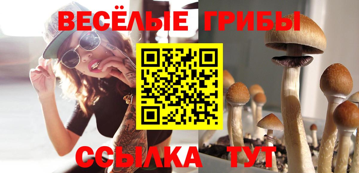 Псилоцибиновые грибы мухоморы Десногорск